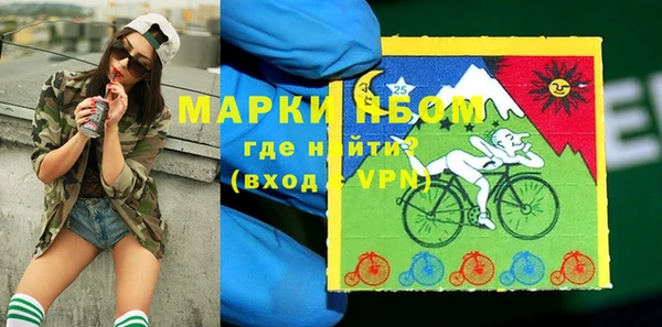 гидра Балахна